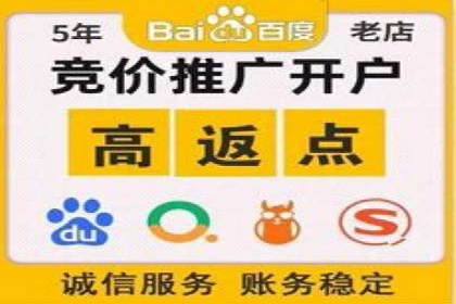 不同平台的SEM广告投放比较及成功案例分析